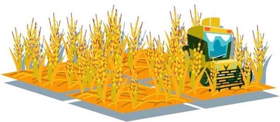 White Goblin Games Machi Koro - Kaartspel 7 White Goblin Games Machi Koro - Kaartspel - Afbeelding 7