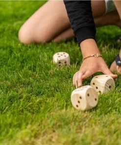 Overige Merken Garden Yahtzee - Dobbelspel -Dobbel Spellen Winkel 550x366 59