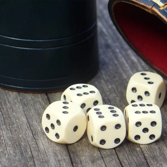 Merkloos Yahtzee Set Met Dobbelstenen En Scoreblok Gezelschapsspel Voor Volwassenen En Kinderen Speel Tot 600 Dobbelspellen 6 Merkloos Yahtzee Set Met Dobbelstenen En Scoreblok Gezelschapsspel Voor Volwassenen En Kinderen Speel Tot 600 Dobbelspellen - Afbeelding 6