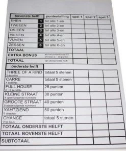 Grootletter Yahtzee Scoreblok XXL Voor Slechtzienden