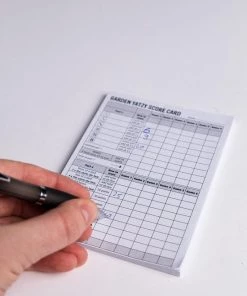 Clown Games Clown Dobbelset+scoreblok -Dobbel Spellen Winkel 550x825 4